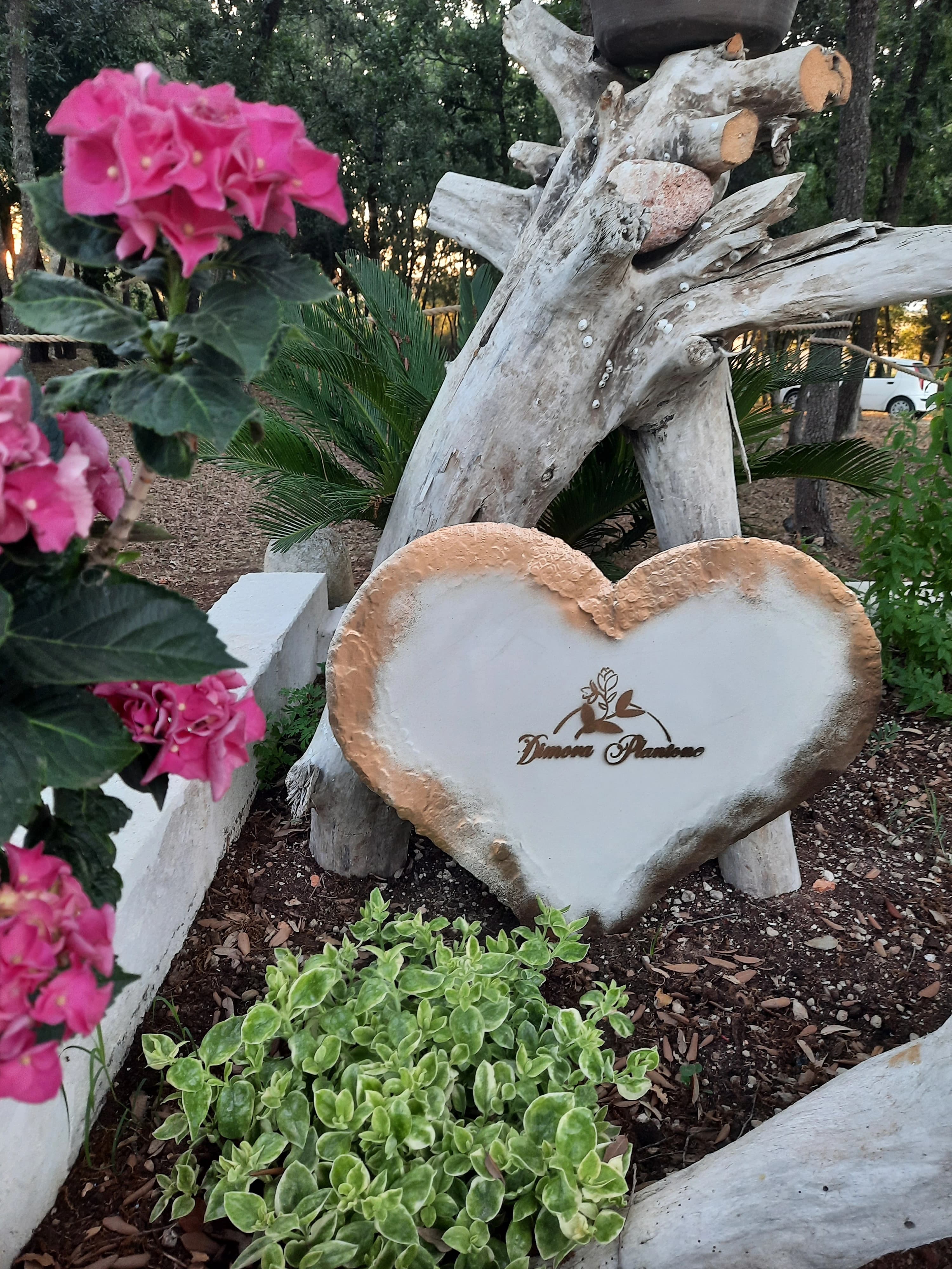 Galleria Dimora Plantone 4