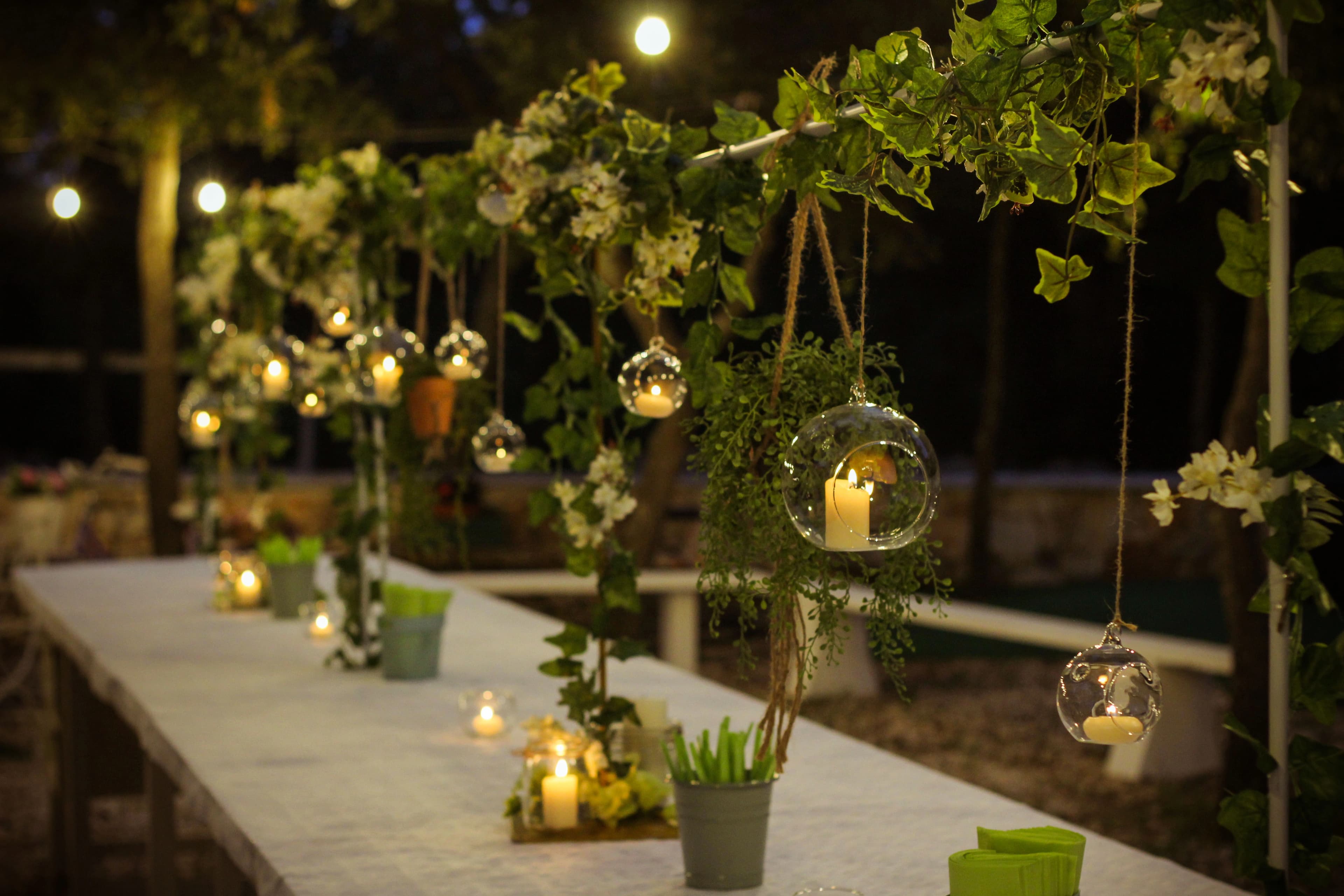 Galleria Dimora Plantone 6